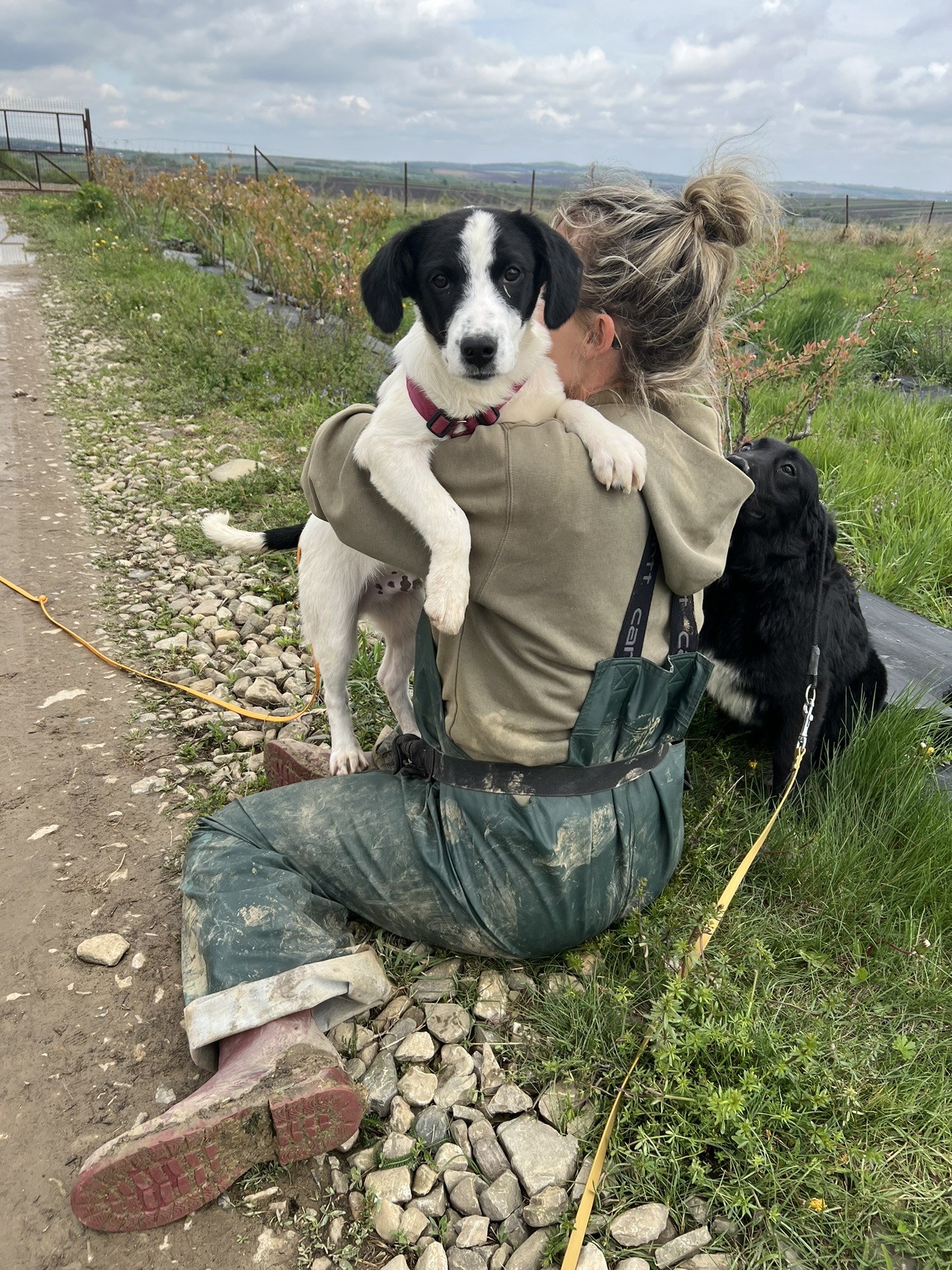 Lucky's Legacy Rescue - Elisa